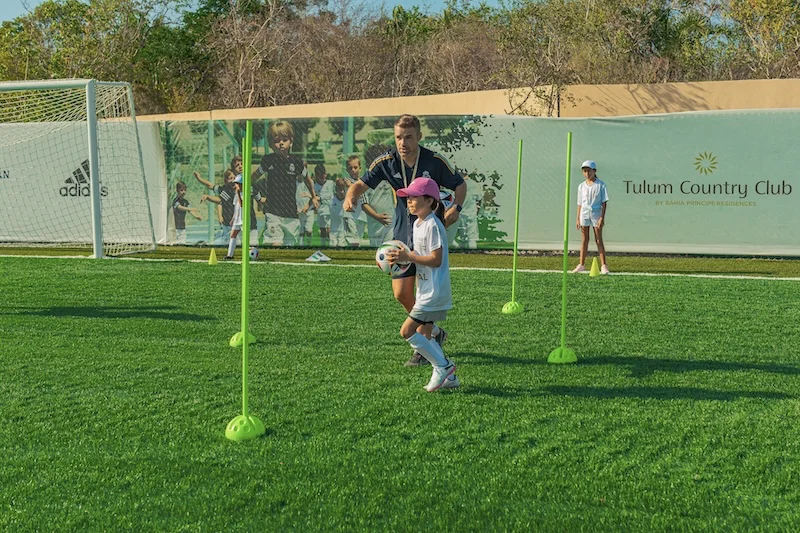 Metodología Adaptativa